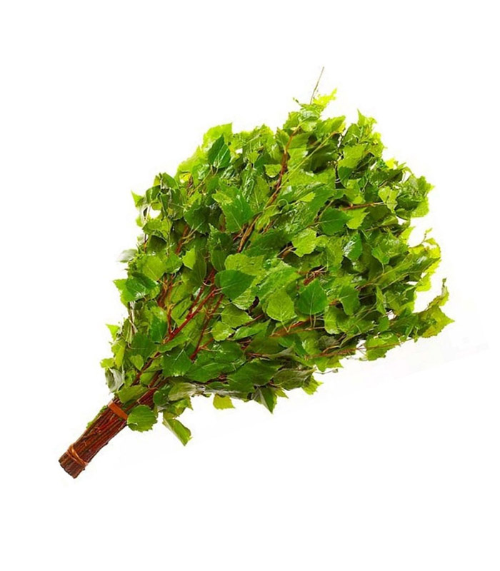 Веник БЕРЕЗОВЫЙ Веник БЕРЕЗОВЫЙ