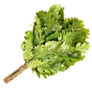 Веник ДУБОВЫЙ