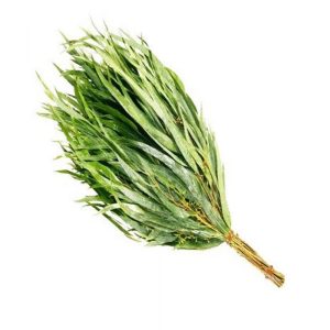 Веник Эвкалиптовый